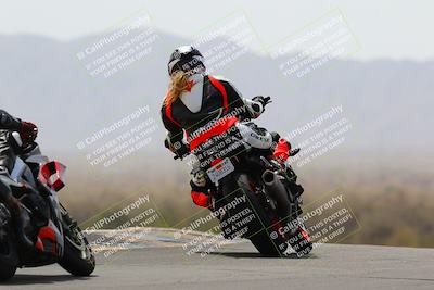 media/Apr-10-2022-SoCal Trackdays (Sun) [[f104b12566]]/Turn 9 Backside (1120am)/